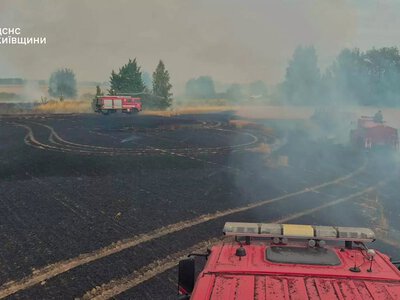 Вогонь охопив пшеничне поле: на Броварщині за лічені хвилини згорів гектар урожаю