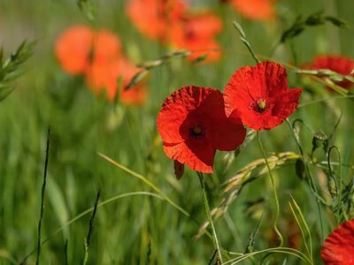 Від +20 °C до спекотних +30 °C та грози на півдні: детальний прогноз погоди на 22 липня 