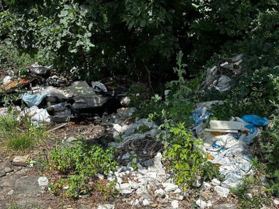 Незаконне видалення дерев, спалювання решток і сміття: які порушення зафіксували на Рівненщині
