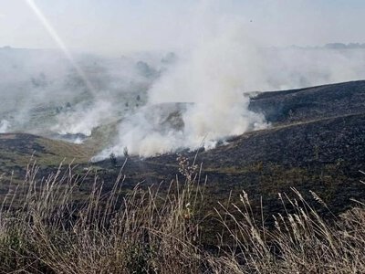 За день виникло 8 пожеж на Полтавщині