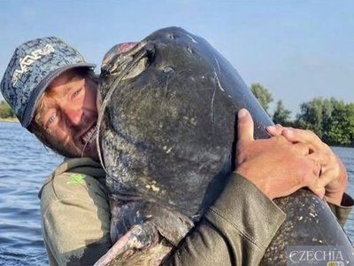 У Чехії відомий рибалка витягнув із водойми велетенського сома