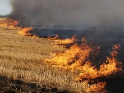 Вогонь уже нищить врожай: на Рівненщині під час жнив згоріли два поля