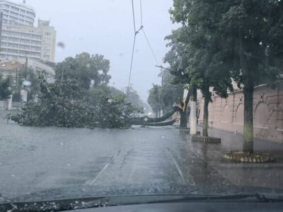 Потужна злива в Одесі: за пів години випала майже місячна норма опадів