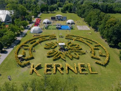 Кернел створив найбільший соняшниковий лабіринт