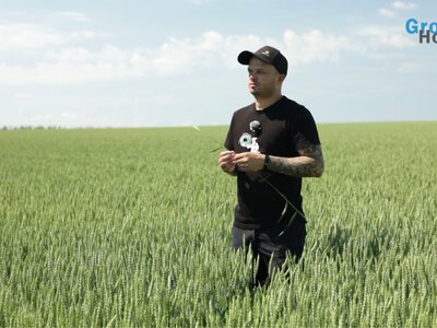 «Кукурудза стала лотереєю»: чому господарство на Кіровоградщині робить ставку на соняшник і змінює технологію обробітку ґрунту