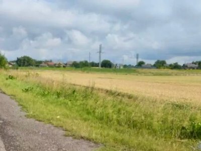 У Литовезькій громаді продають гектар землі біля автошляху Р-15