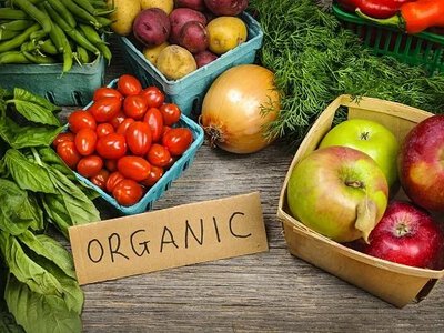 Україна адаптує органічне виробництво до стандартів ЄС