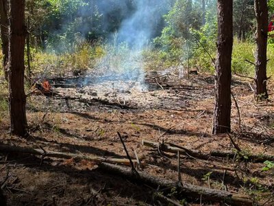 У Соловичах через спалювання сухостою сталася пожежа: на власницю ділянки склали адмінпротокол