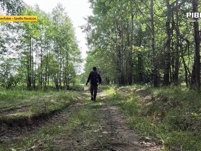 Де шукати та як смачно приготувати лисички: поради рівненських грибників (ВІДЕО)