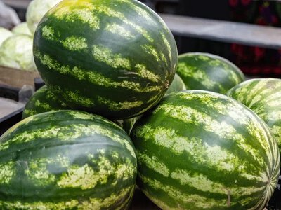 У Херсоні продають перші місцеві кавуни по 15–25 гривень за кілограм
