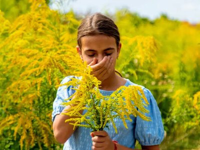 🌿 Сезон амброзії наближається: як відрізнити алергію від застуди та зберегти здоров’я