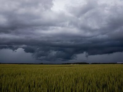 В Україні оголошено жовтий рівень небезпеки: які регіони накриють зливи та шквали 23 липня
