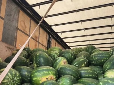 Фермери окупованої Херсонщини мають проблеми з пальним та логістикою