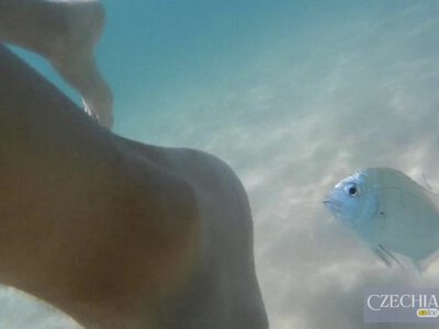 На півдні Італії риба сильно вкусила туриста біля самого берега