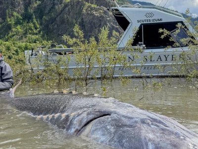 Рибалки виловили величезного живого динозавра, якому понад 100 років – фото (Відео)