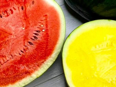 Коли на Чернігівщині розпочнеться продаж місцевих кавунів і динь (Фото)