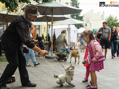 Театр маріонеток у Житомирі просить дозволити регулярні виступи на Михайлівській