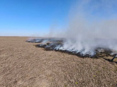 Понад 3,9 тисячі гектарів вигоріло в Асканії-Нова за місяць