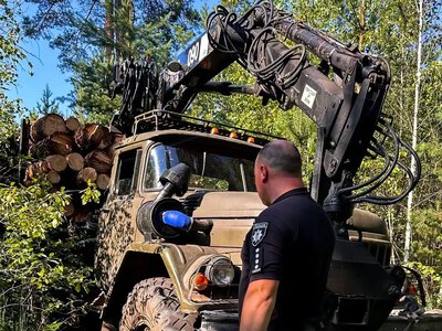 Зупинили «ЗІЛ» із соснами: на Рівненщині поліцейські вийшли на незаконну вирубку лісу