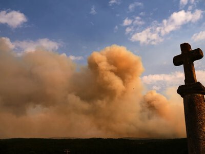 Понад 30 тисяч гектарів лісу знищила пожежа в Іспанії
