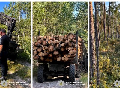 У жителя Рівненщини вилучили вантажівку з незаконно зрубленою деревиною