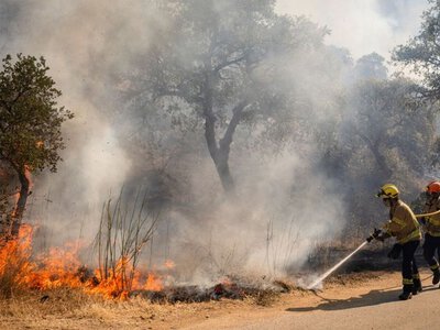 Південь Європи охопили масштабні лісові пожежі: тисячі людей змушені евакуюватися, є жертви