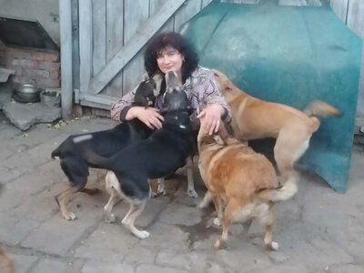 «Ми живі, і тварини хочуть жити, а я вже ні…»: жінка з Чернігівського прикордоння продовжує дбати про 34 собак і 35 котів (Фото)