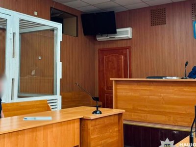 В Одесі чоловік до смерті побив власного кота, який випав із вікна. Підозрюваному загрожує в'язниця — слідство
