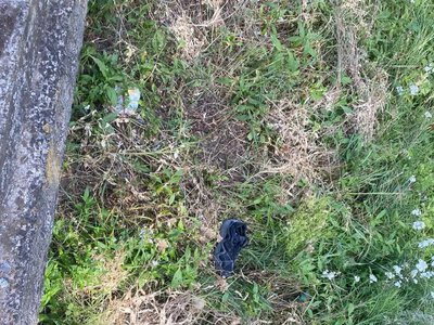 На залізничній станції під Києвом виявили тіло 14-річного хлопця