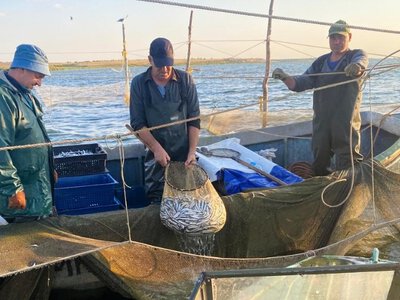 Контроль на водоймах: екологи перевірили промисловий вилов риби на Бузькому лимані