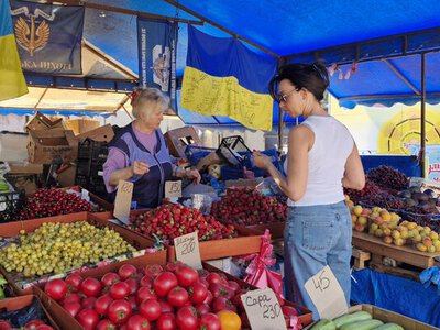 Зрошувальна система Одещини: прогнози на врожай овочів та ціни