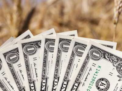 На Волині порахували, скільки дотацій отримали аграрії області