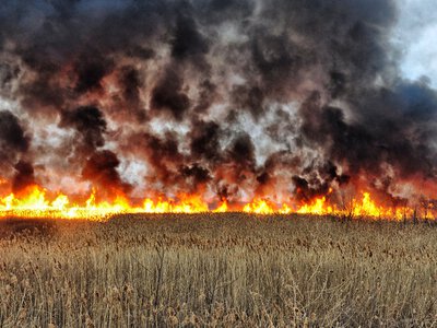 На Рівненщині від початку року майже 800 разів горіли поля