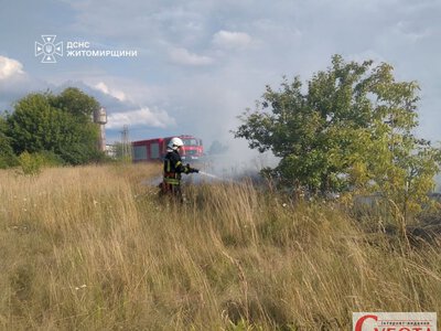 На Житомирщині за добу сталося шість пожеж сухостою: полум’я загрожувало пшениці