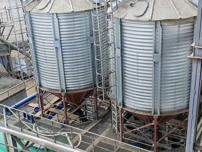 Український агрохолдинг зібрав рекордний урожай: один елеватор прийняв понад половину всього зерна