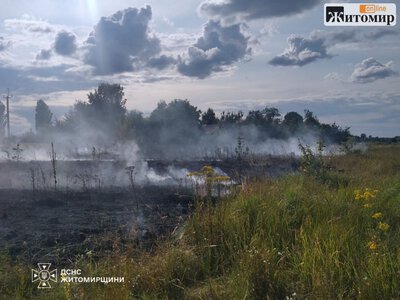 Поблизу Скоморохів рятувальники відстояли пшеничне поле від пожежі сухої трави