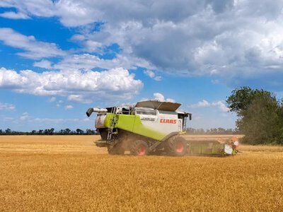 Льон: новий успіх «ТАС Агро Південь»