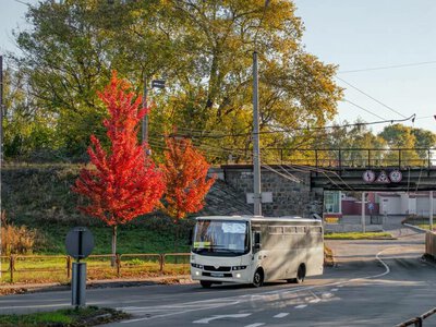 У Чернігові обрали перевізника на автобусний маршрут №29С