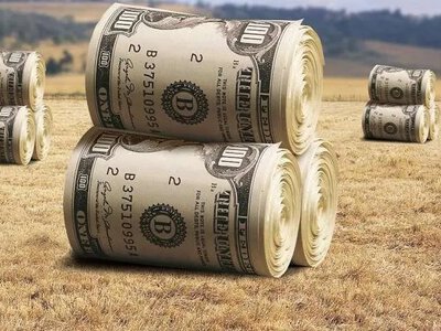 Облік дотацій у фермерстві: як уникнути податкових ризиків