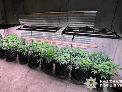 Наркоферму облаштував на дачі: у Дунаївцях затримали 43-річного чоловіка