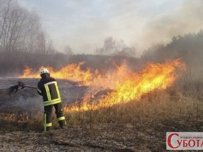На Житомирщині під час пожежі сухостою виявили загиблу 67-річну жінку