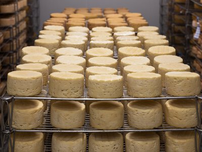 Росія заборонила імпорт молочної продукції з Вірменії на тлі торговельних обмежень