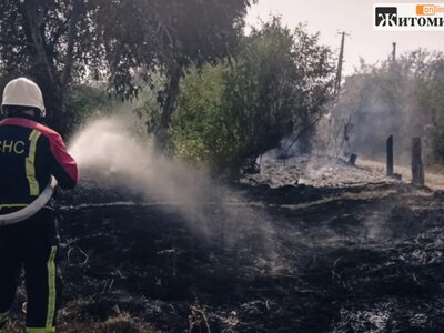 На Звягельщині під час пожежі сухої рослинності загинула 67-річна жінка