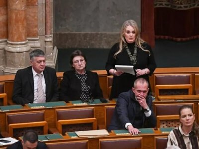 У парламенті Угорщини закликали зберегти автономію українських шкіл
