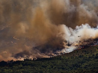 Європу охопила масштабна посуха: вирують лісові пожежі, у країнах вводять обмеження на використання води