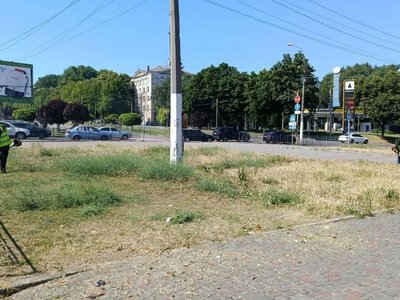 Кам'янське стає сухим та без зелені на газонах: чому тотальний покос трави у спеку лише шкодить місту