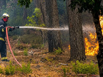 Франція оголосила евакуацію в околицях Бордо через лісові пожежі