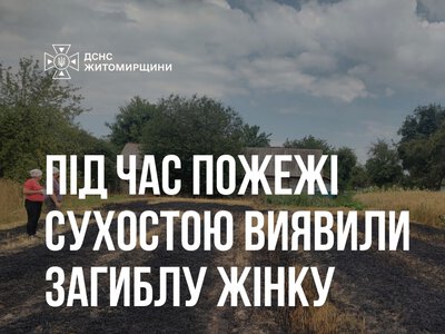На Звягельщині під час пожежі сухої рослинності виявили загиблу жінку