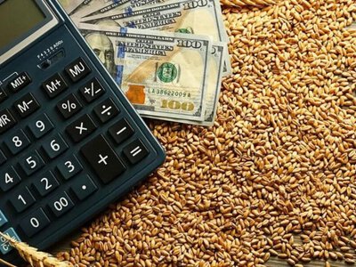 Облік продажу зерна: змішані розрахунки