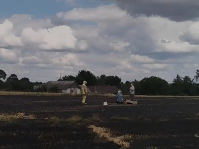 На Рівненщині на випаленому полі знайшли мертвою 90-річну жінку (ОНОВЛЕНО)